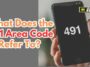 491 country code