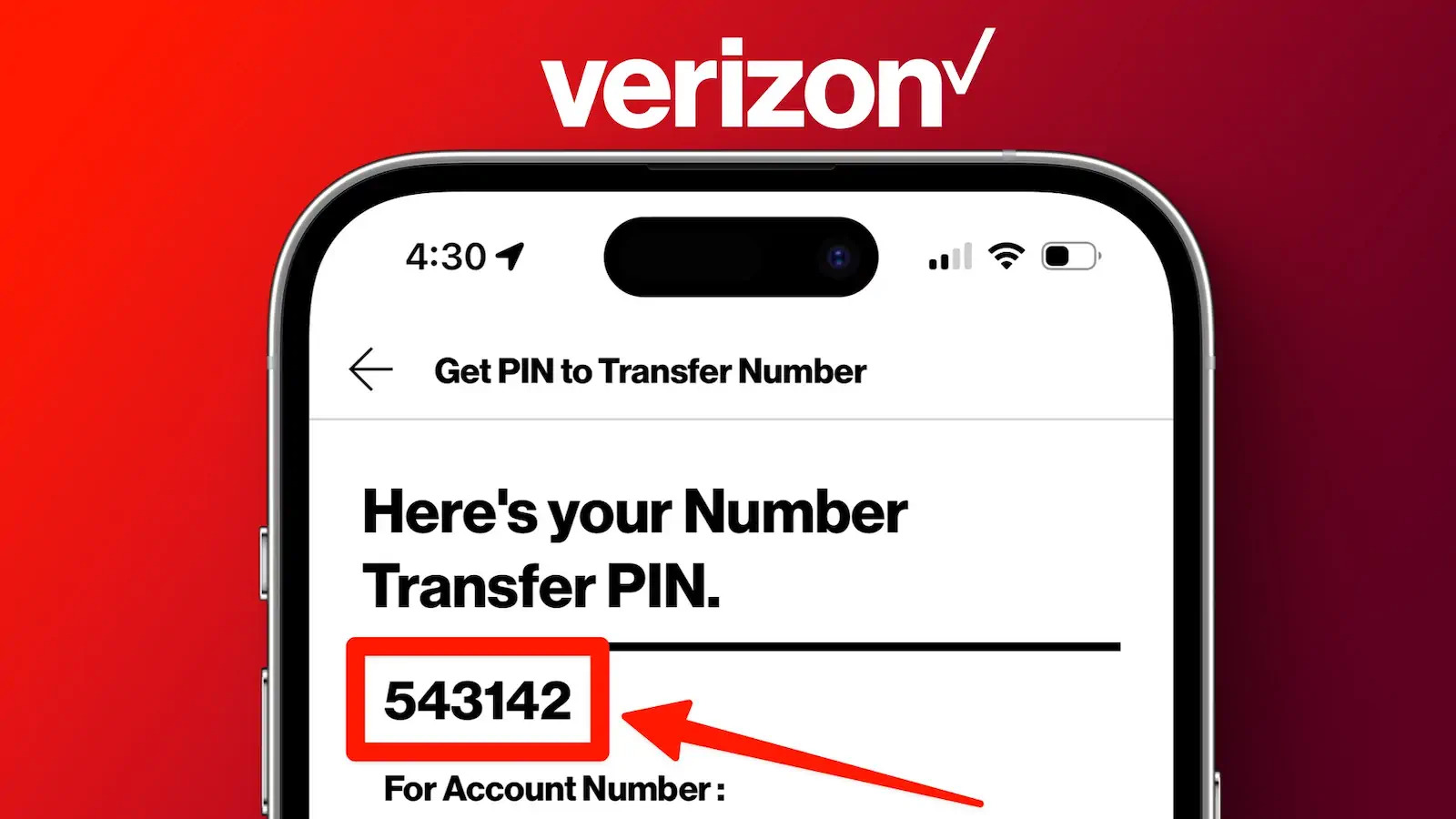 Verizon Account PIN