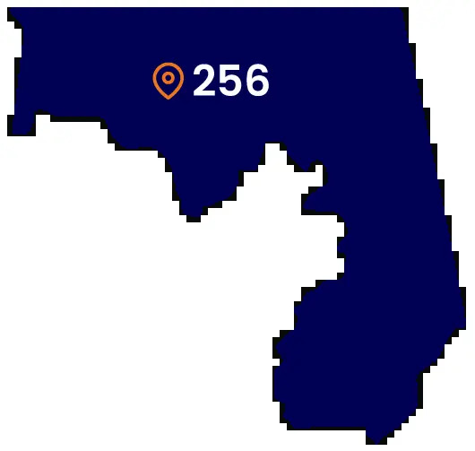 the 256 area code