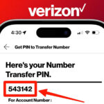 the Verizon PIN