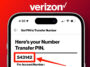 the Verizon PIN