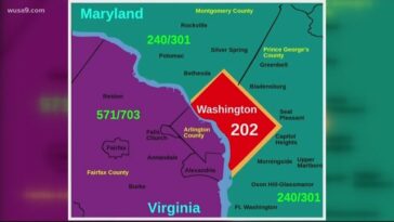 The 202 area code