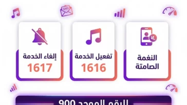إنفوجرافيك يوضح دليلك الشامل لخدمة صدى stc متضمناً كود إلغاء الخدمة 1617 وكود التفعيل 1616 وتفاصيل النغمة الصامتة الموجهة للرقم 900.