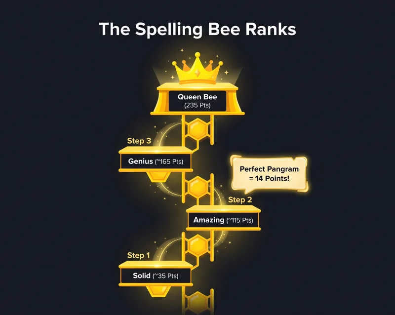 Infographic displaying the point thresholds required to reach Solid, Amazing, Genius, and Queen Bee ranks in the daily Spelling Bee puzzle.