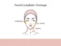 An infographic illustrating a facial lymphatic drainage map with arrows showing the correct massage directions: outward from the under-eyes, outward from the cheeks, and downward from the jawline to the neck.