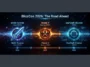 A digital timeline infographic showing the major release dates announced at BlizzCon 2026, including WoW Forever in November 2026, Diablo V in Spring 2029, and the StarCraft Shooter in 2030.